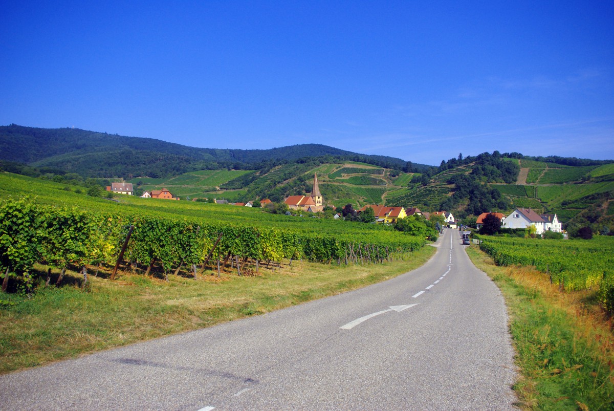 The vineyards of Niedermorschwihr, Alsace © French Moments