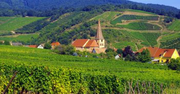 The vineyards of Niedermorschwihr © French Moments