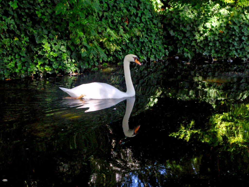 Walking in the Old Town of Rouen: Discover the Ultimate Itinerary ...