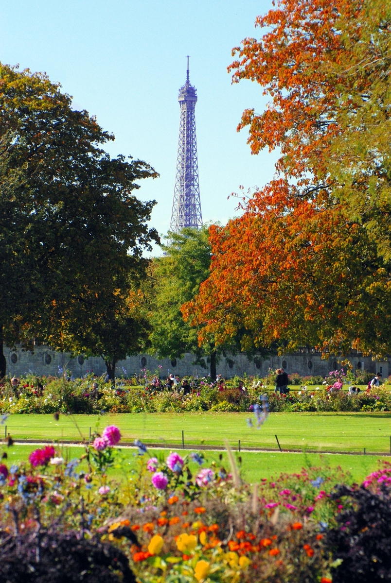 Tuileries Eiffel Tower Autumn © French Moments