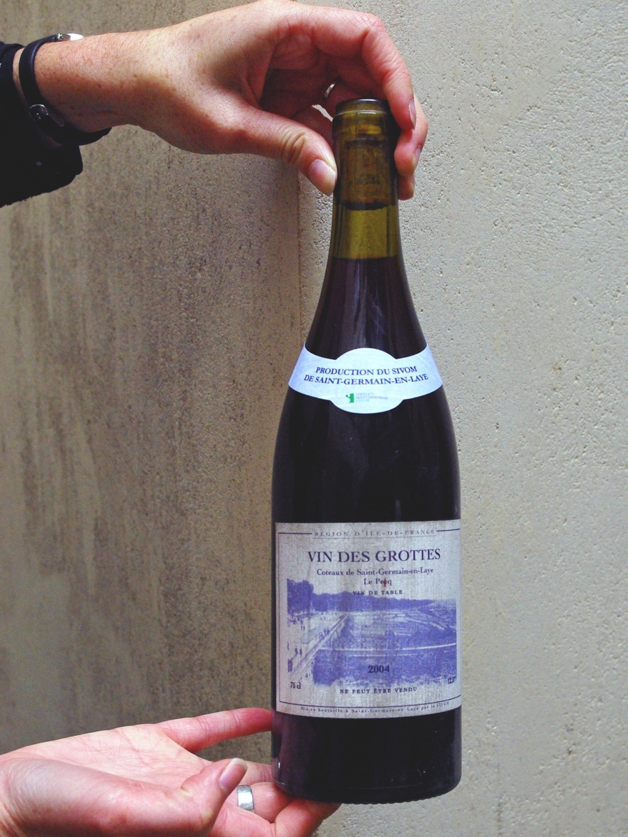 Wine of Saint-Germain-en-Laye © French Moments