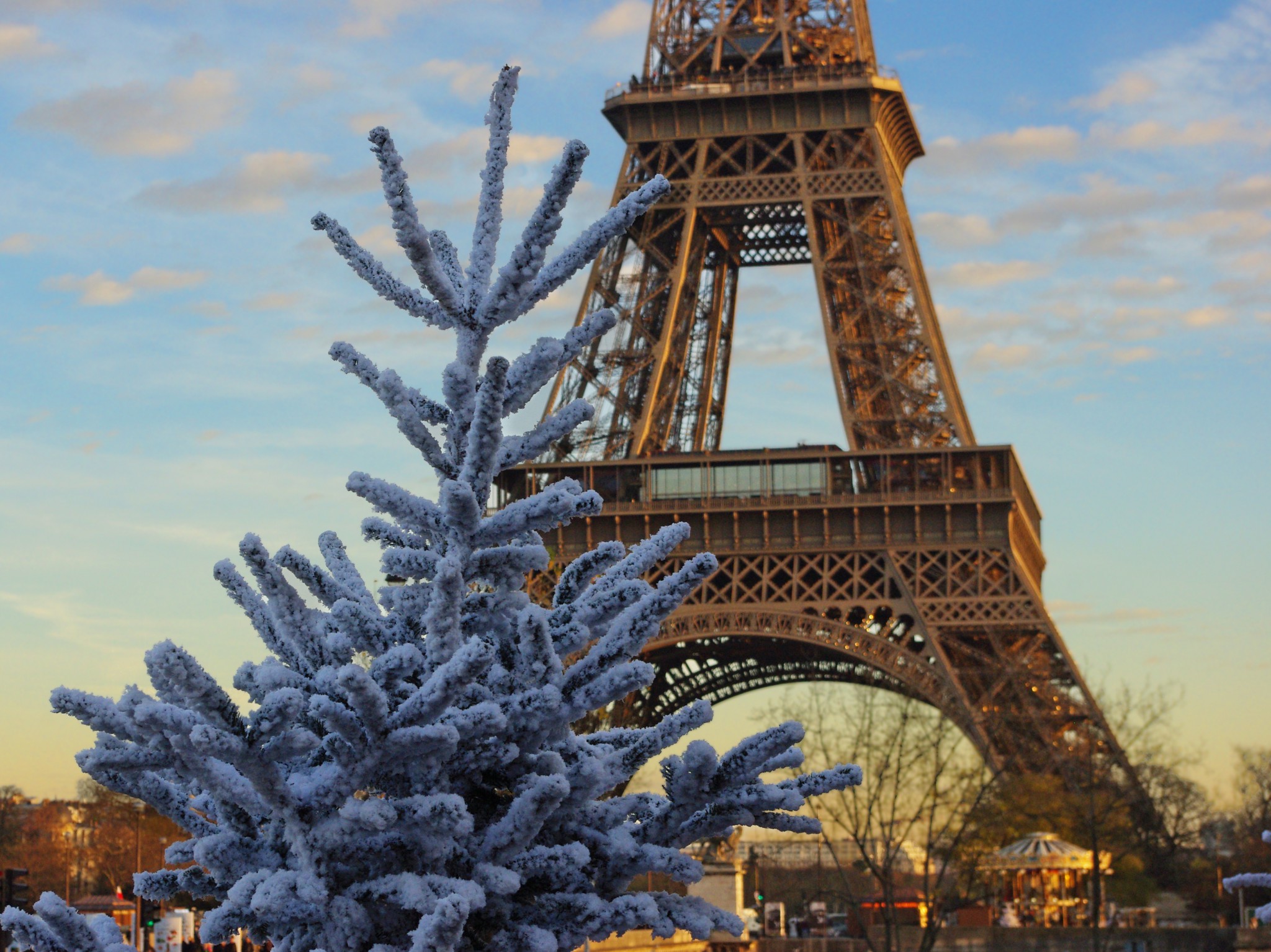 White Christmas Tree and Eiffel Tower 02 © French Moments