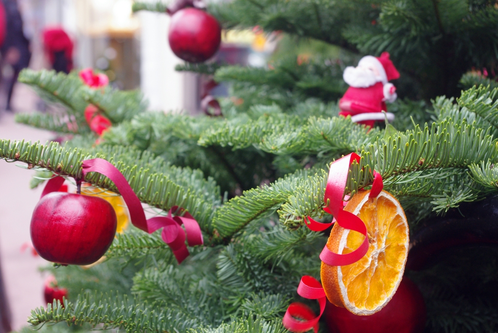 Fruit on a Christmas tree, Maisons-Laffitte © French Moments