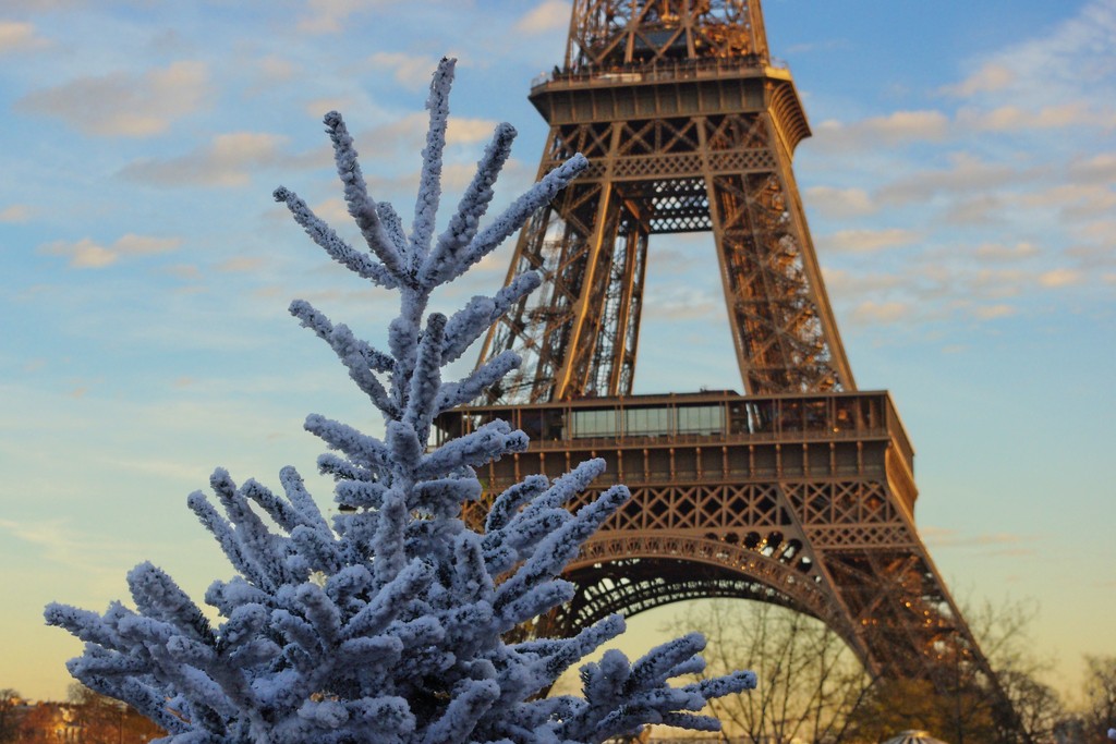 White Christmas Tree and Eiffel Tower © French Moments
