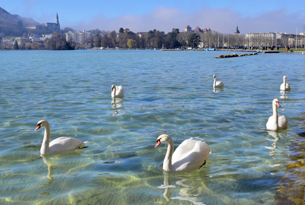 Lake Annecy © French Moments