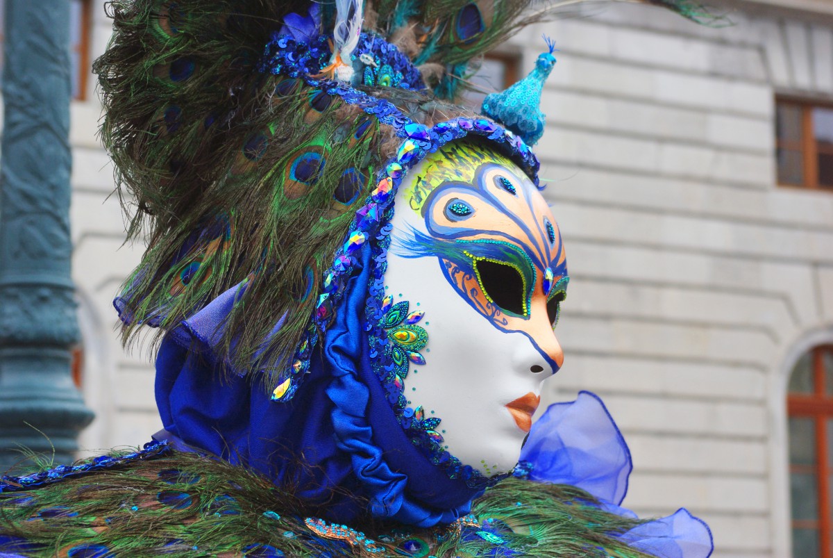 Fan Charleston  Venetian Carnival Costume