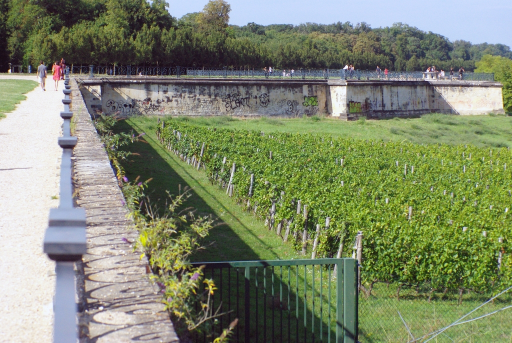 The great terrace of Le Nôtre, Saint-Germain-en-Laye © French Moments