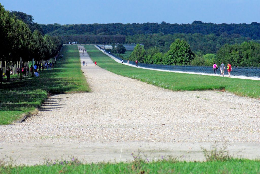 Why it's worth exploring the Forest of SaintGermain French Moments Why it's worth exploring the Forest of SaintGermain French Moments
