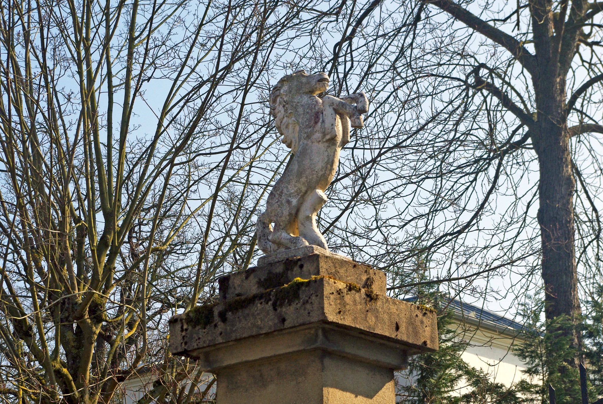 March in Maisons-Laffitte 11 © French Moments