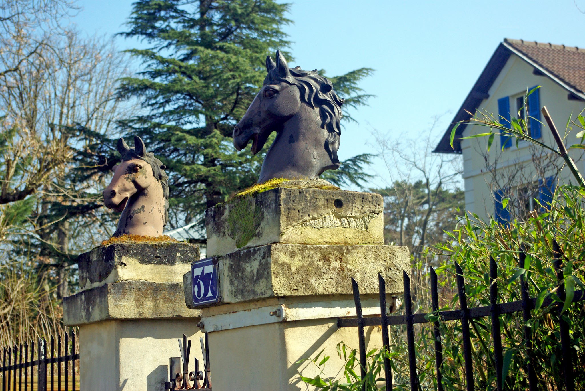 March in Maisons-Laffitte 12 © French Moments