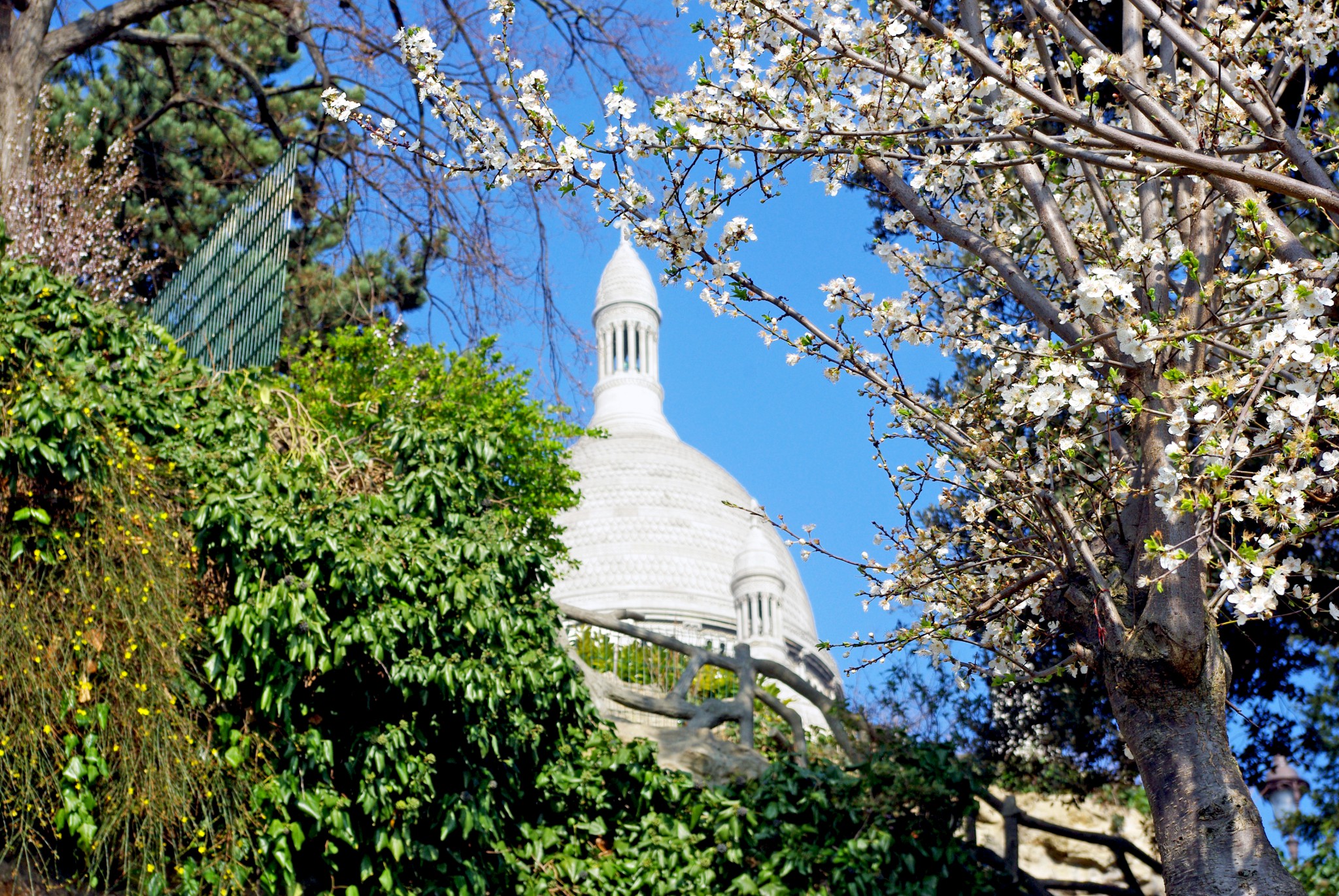 March in Montmartre 04 © French Moments