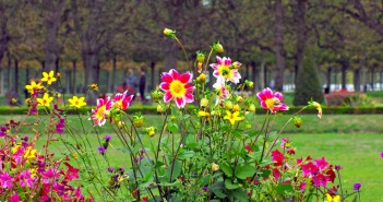 Gardens of Saint-Germain-en-Laye Castle