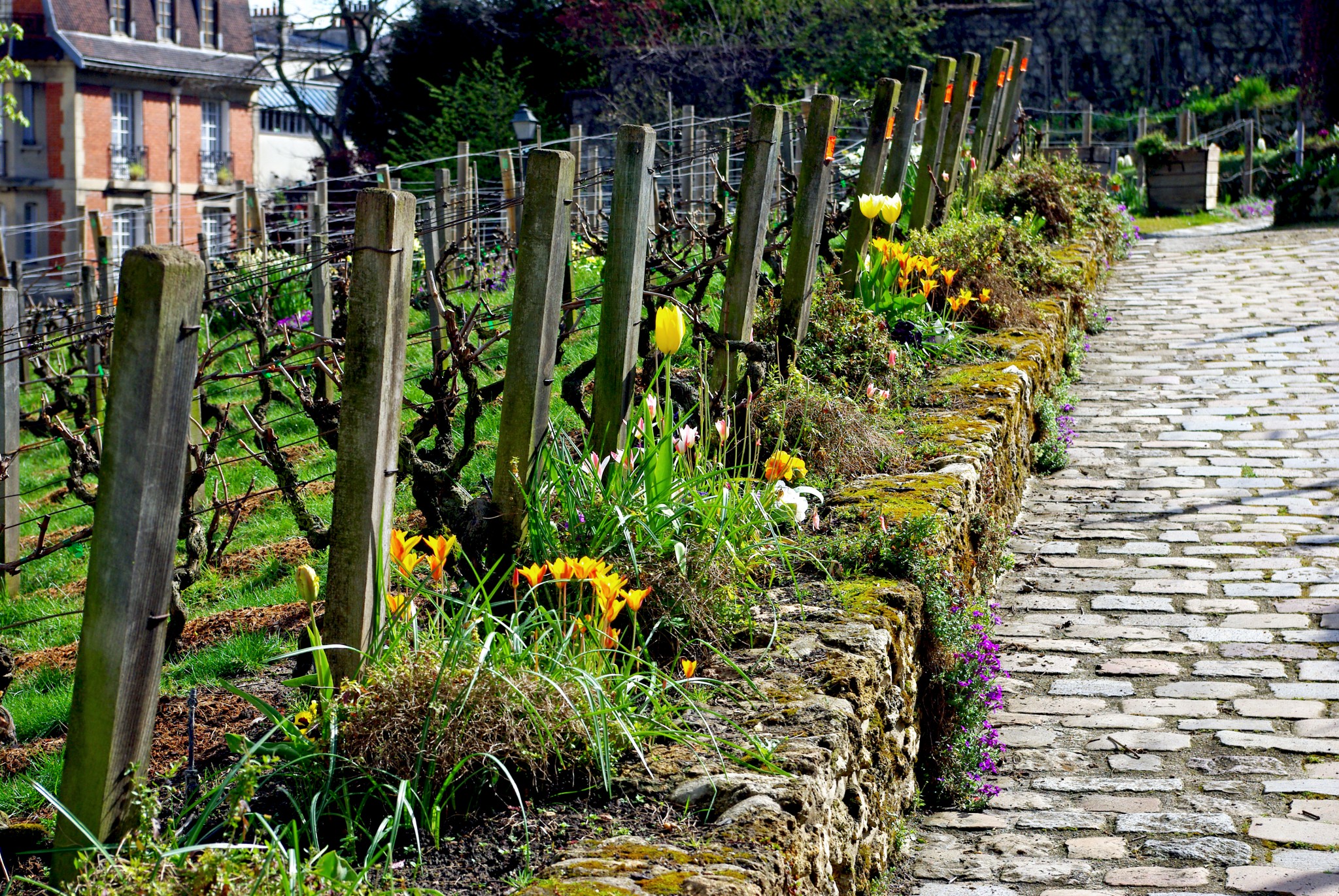 Montmartre Walking Tour 13 April 2016 15 © French Moments