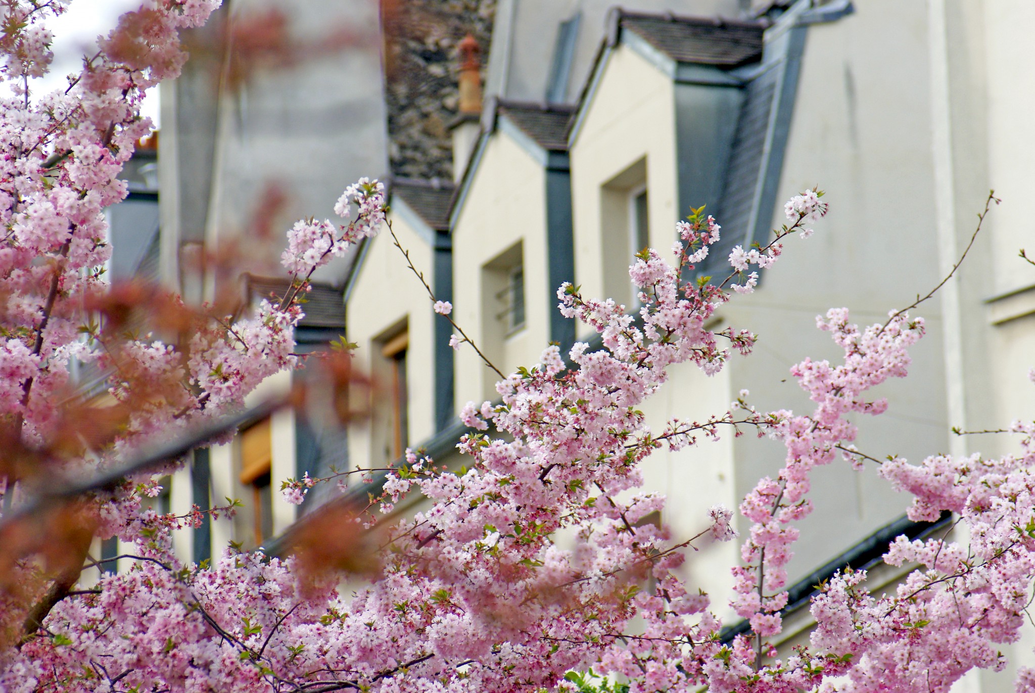 Our tips to enjoy Paris in the Spring - French Moments