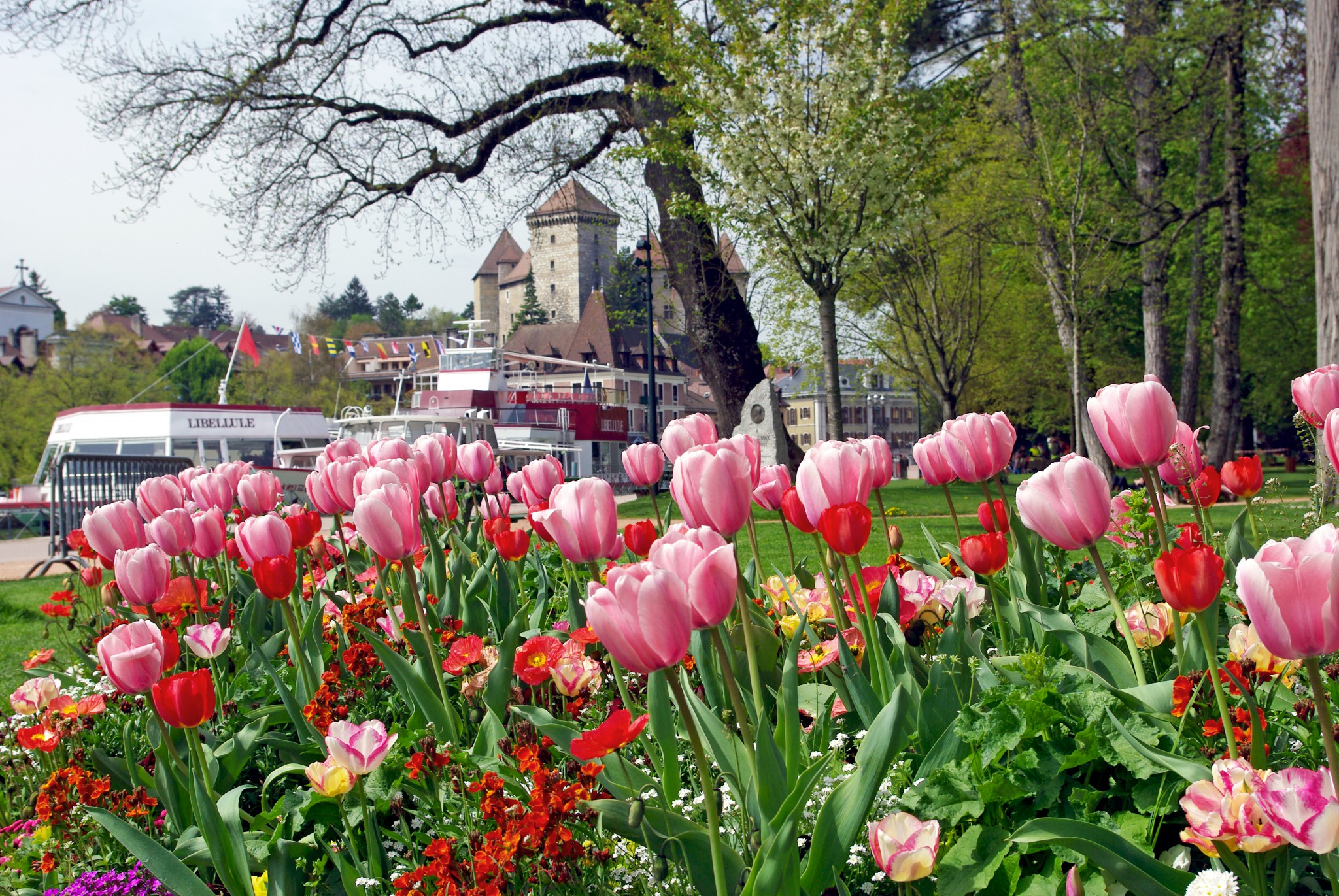 Tulips in Annecy © French Moments