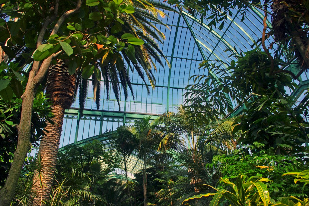 It looks like being in a tropical country far far away from Paris, France. At the Jardin des Serres d'Auteuil © French Moments