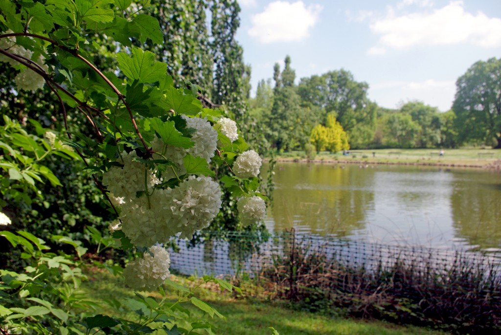 The big pond of the Parc de Boulogne © French Moments