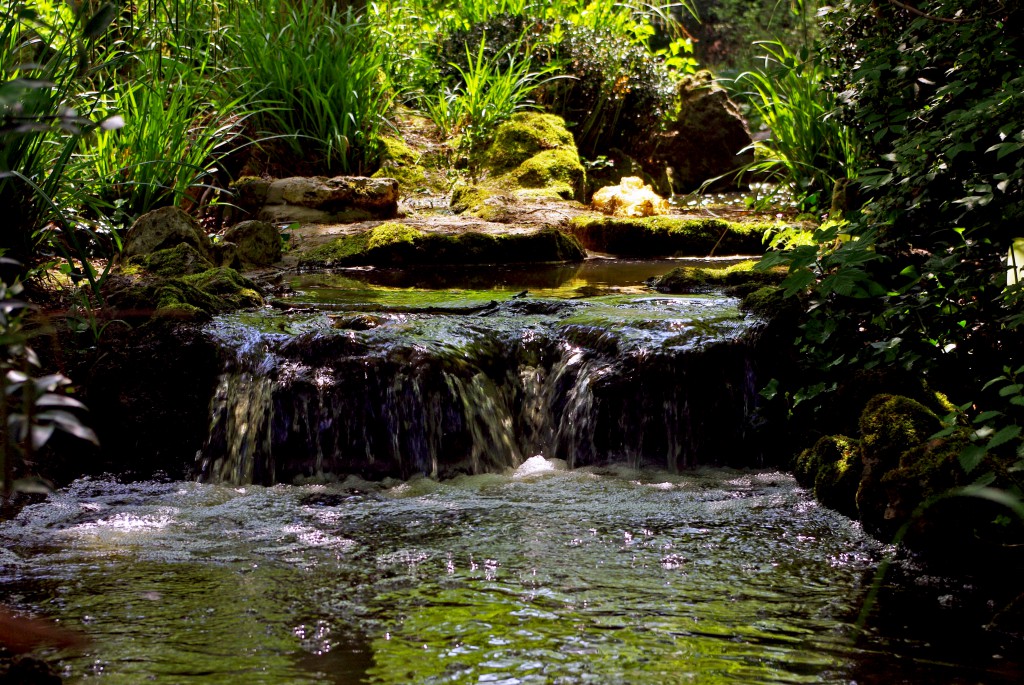 The Routin in the Parc de Boulogne © French Moments