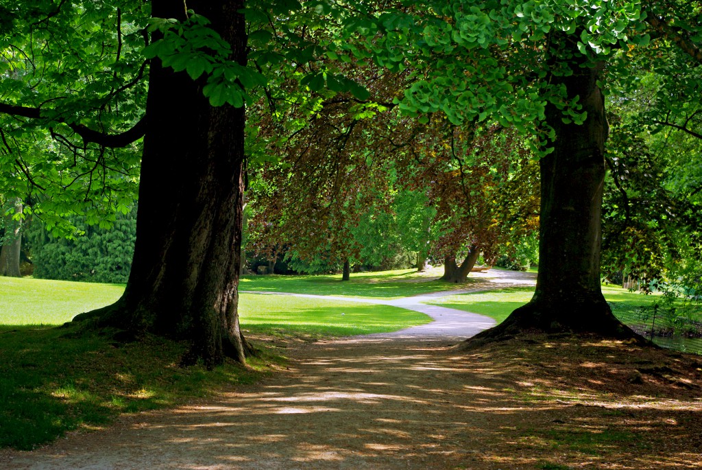 Magnificent trees in the Parc de Boulogne © French Moments