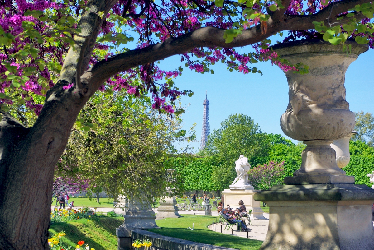 Tuileries in the spring © French Moments