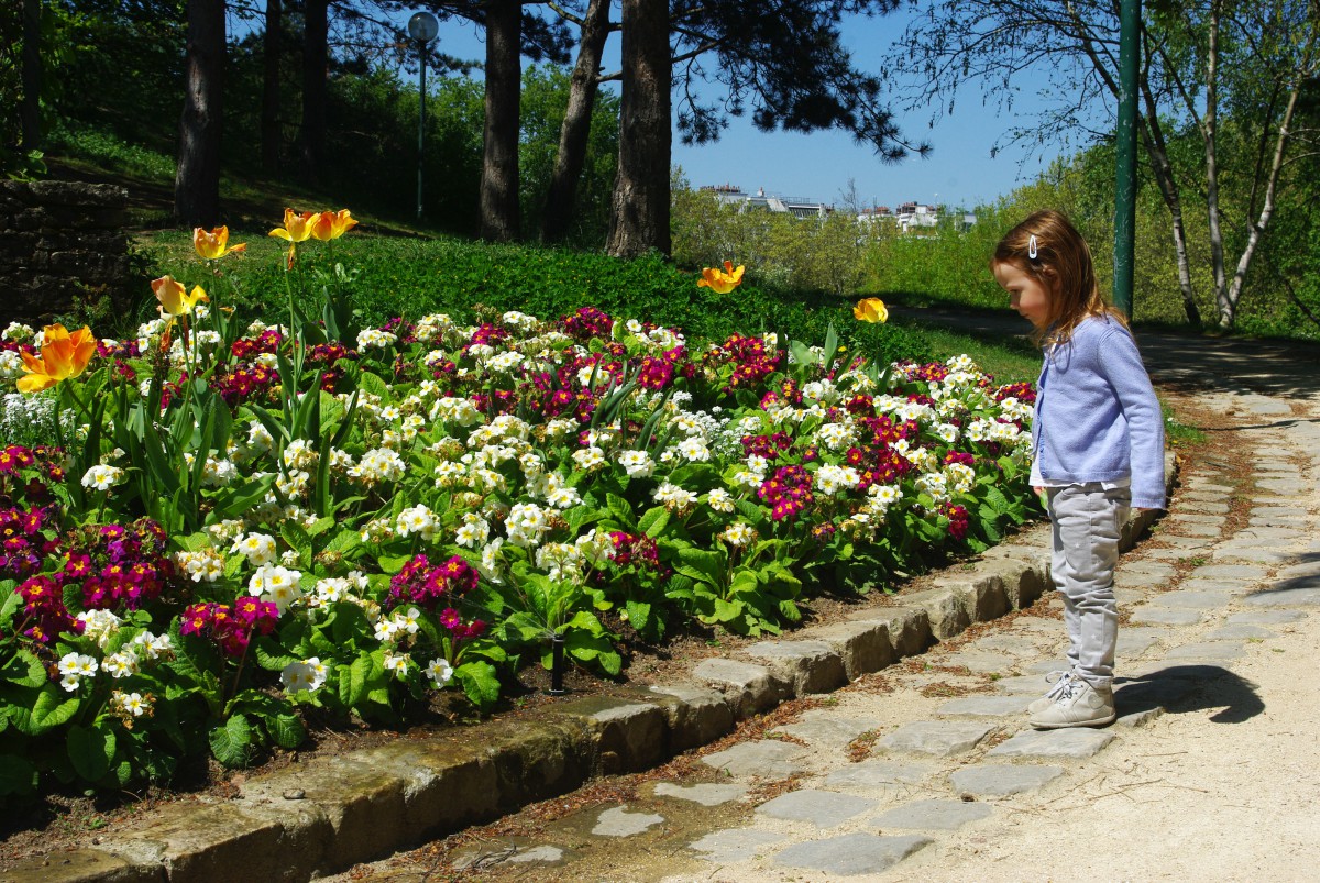 Parc Georges Brassens Paris