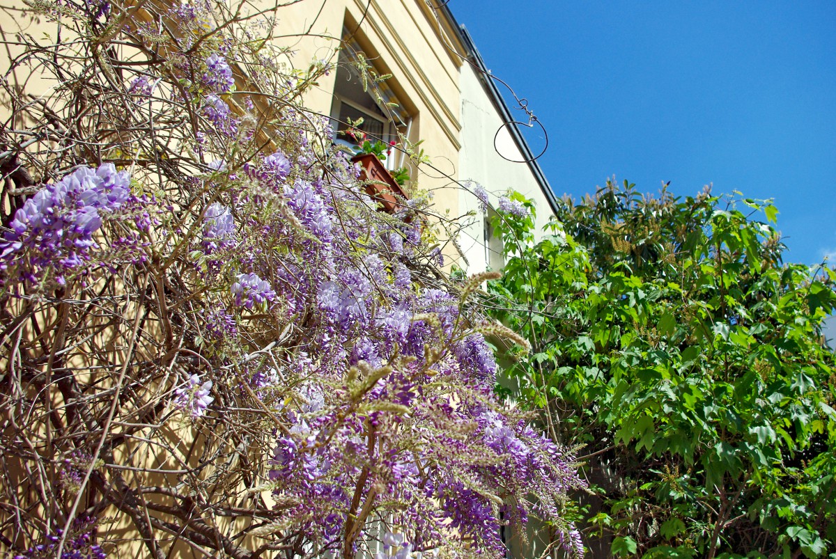 Rue des Thermopyles Paris © French Moments