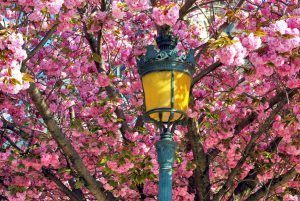 Things you should know about Square Jean-XXIII, Paris - French Moments