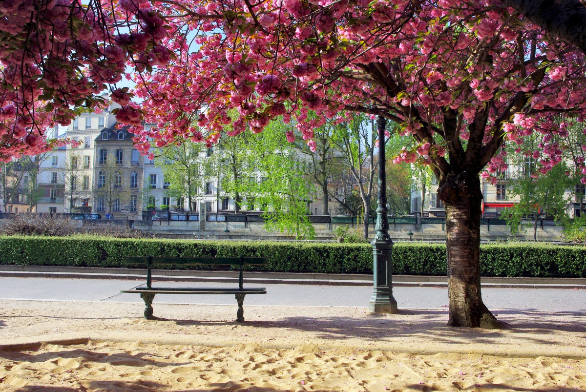 square Jean-XXIII Paris