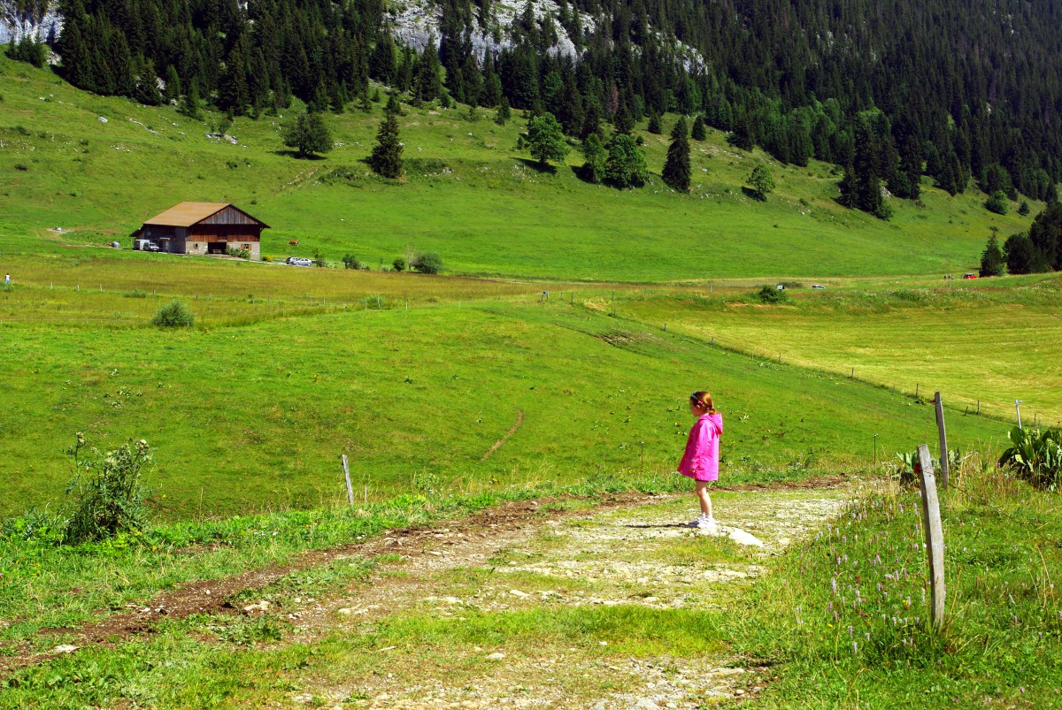 Plateau des Glières © French Moments