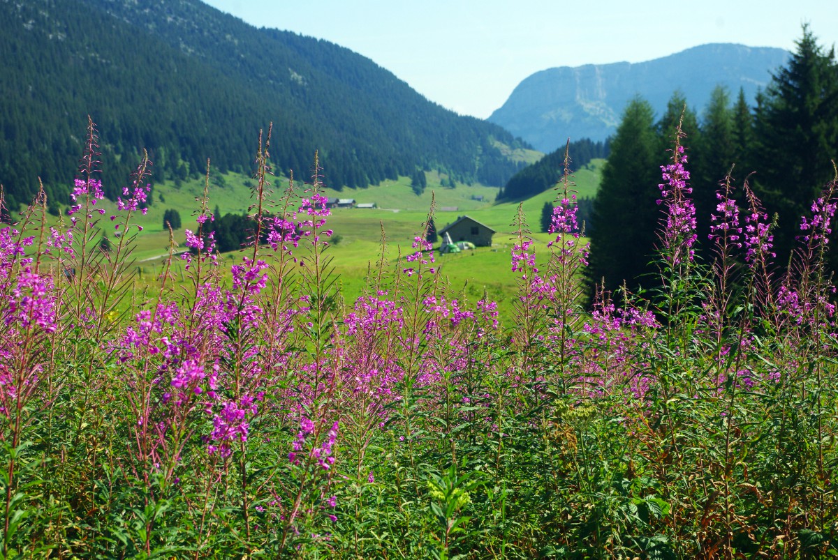 Glieres Plateau