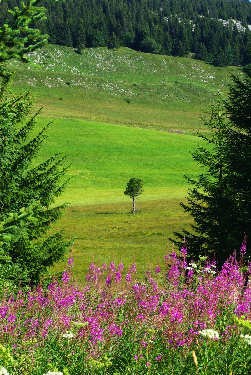 Glieres Plateau