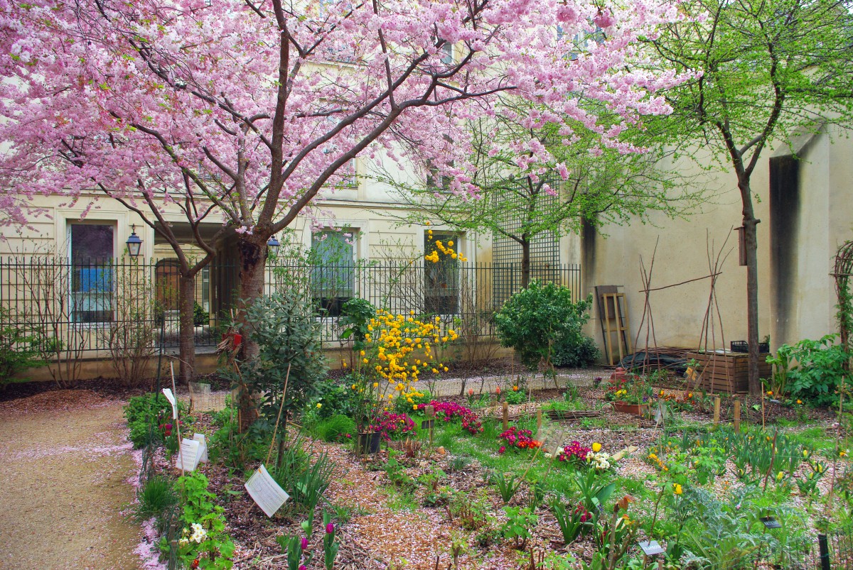 Parks and Gardens of Paris: Anne Frank Garden © French Moments