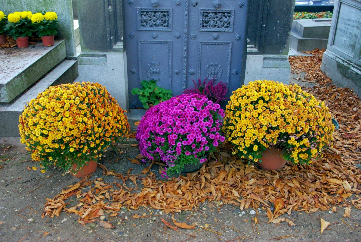 Passy Cemetery Paris