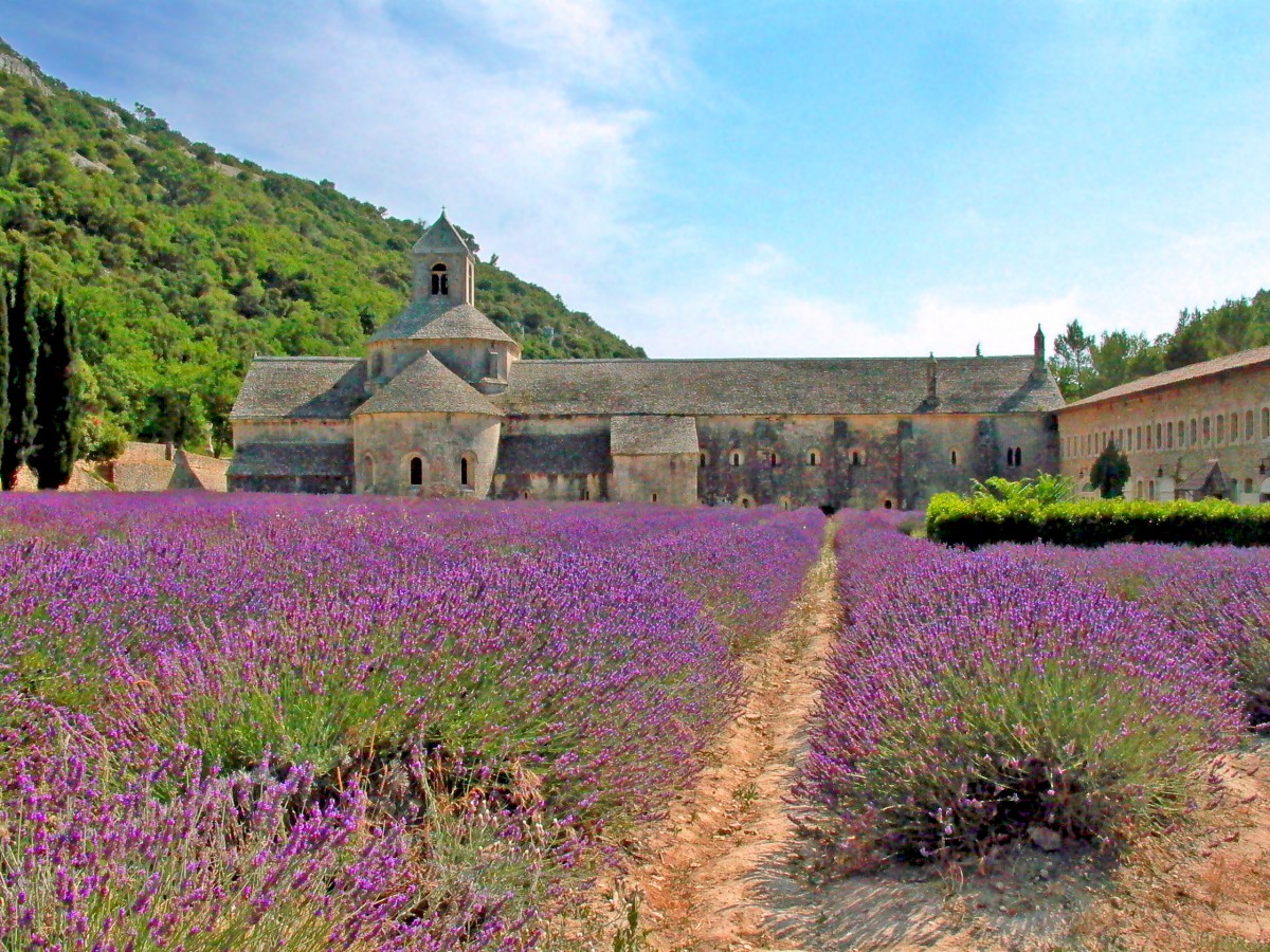 Sénanque Gordes Luberon Provence