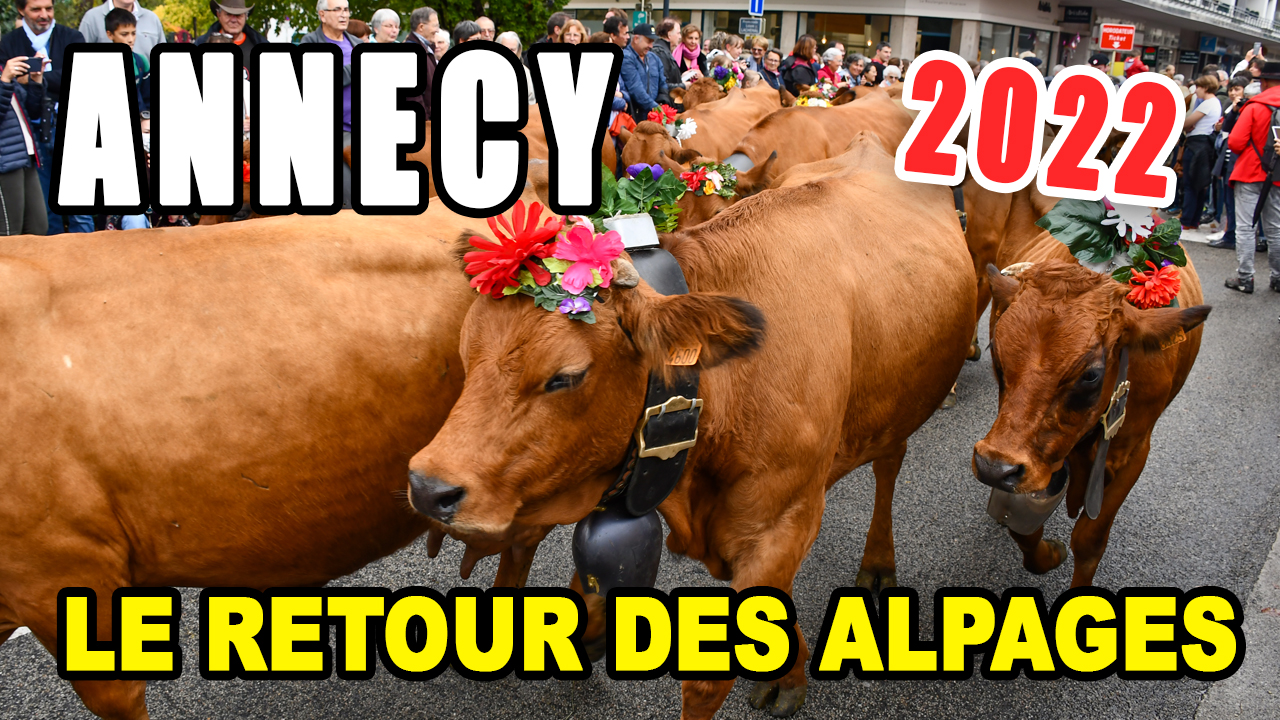 Return from the Alpine Pastures in Annecy - 2022