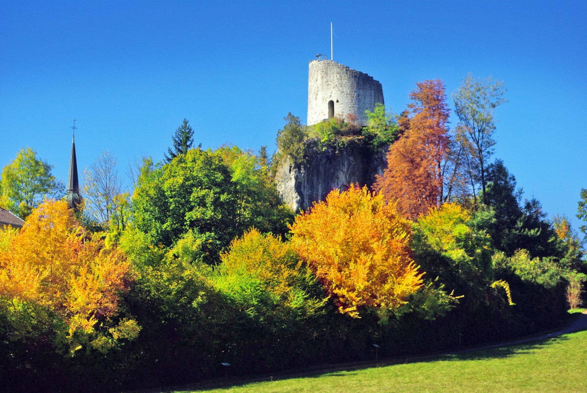 Département of Haute-Savoie - La Roche-sur-Foron © French Moments