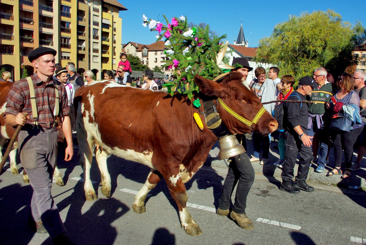 Return from the Alpine Pastures Festival, Annecy © French Moments