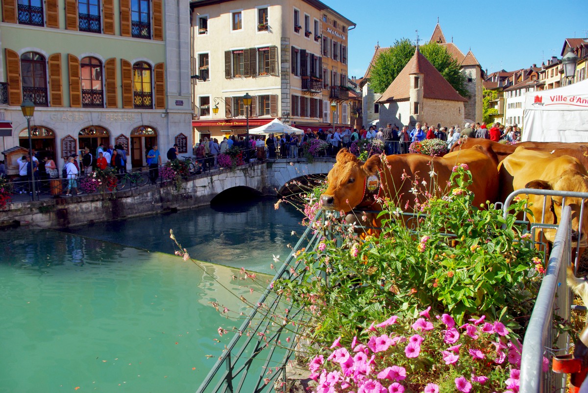 Return from the Alpine Pastures Festival, Annecy © French Moments