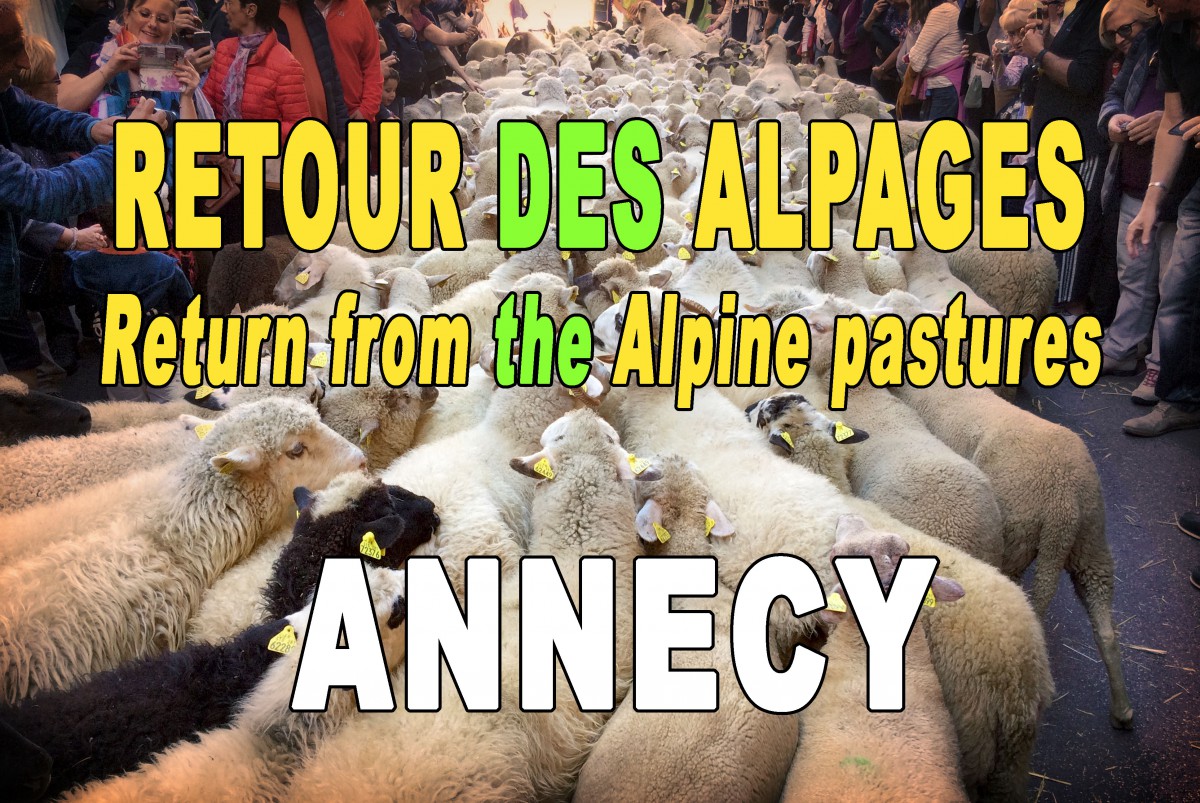 Return from the alpine pastures festival in Annecy © French Moments
