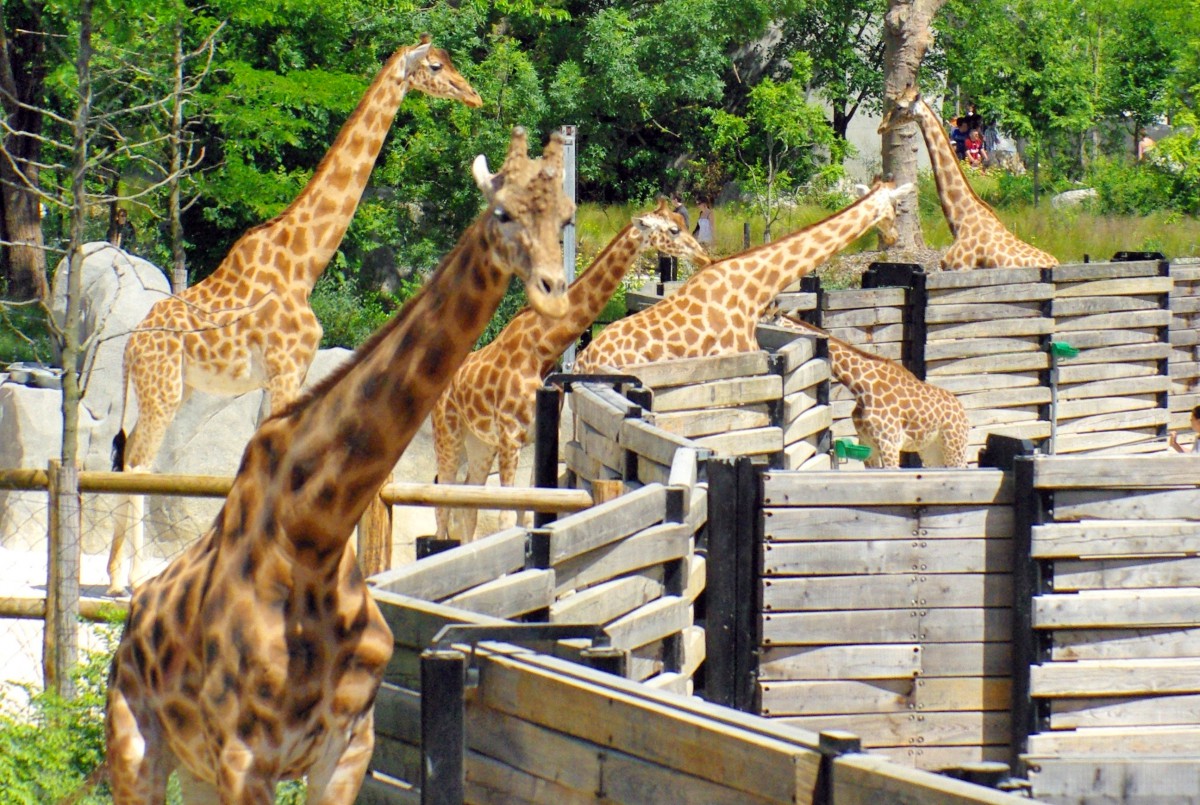 Paris Zoological Park © French Moments