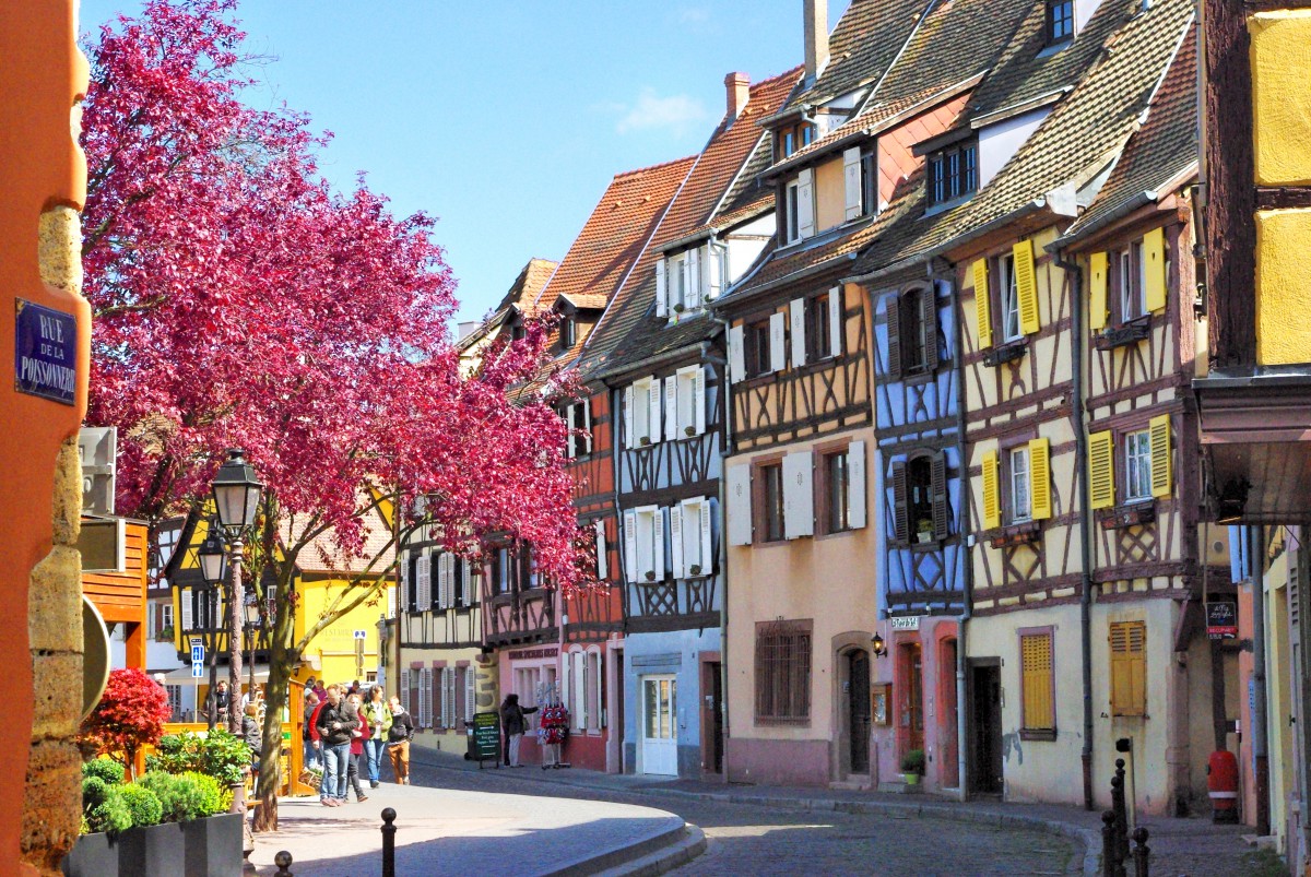 What you need to know about the Alsace Region - French Moments