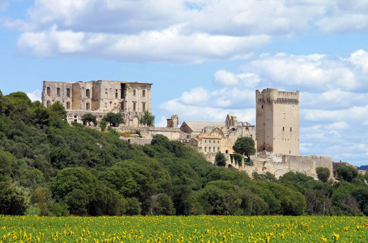 The abbey of Montmajour - Stock Photos from LianeM - Shutterstock