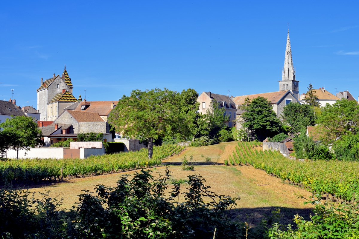 Meursault in Burgundy © French Moments