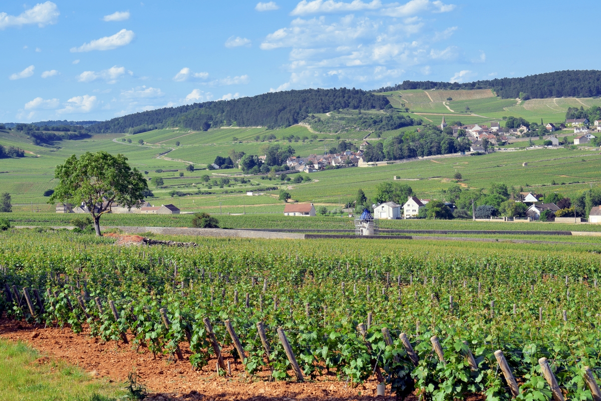 Meursault in Burgundy © French Moments