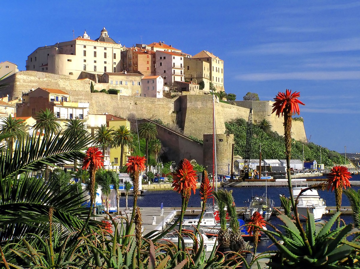 Calvi © Pierre Bona - licence [CC BY-SA 3.0] from Wikimedia Commons