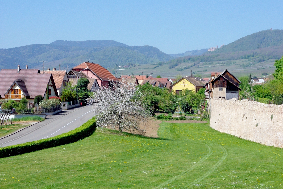 Bergheim on the Alsace Wine Route © French Moments