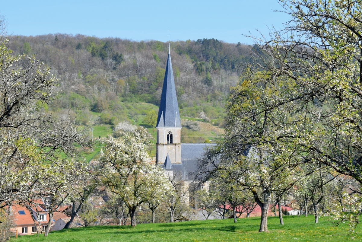 Photos of Spring in Lorraine - Blénod-lès-Toul © French Moments