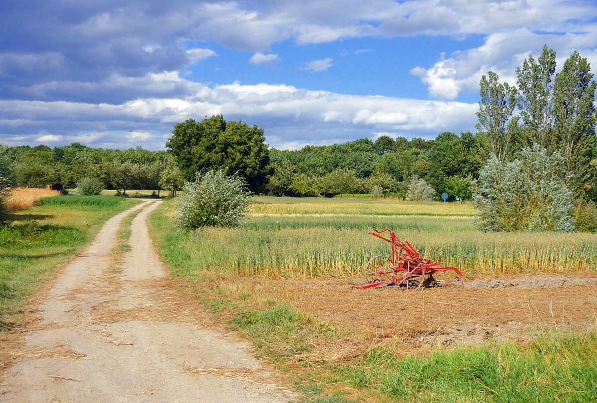 Rural Alsace - Field at the Ecomusée d'Alsace © French Moments