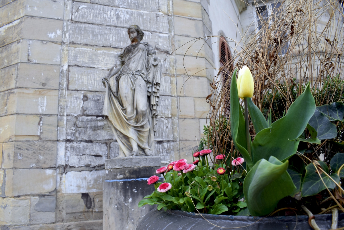 Photos of Spring in Lorraine - Epinal © French Moments