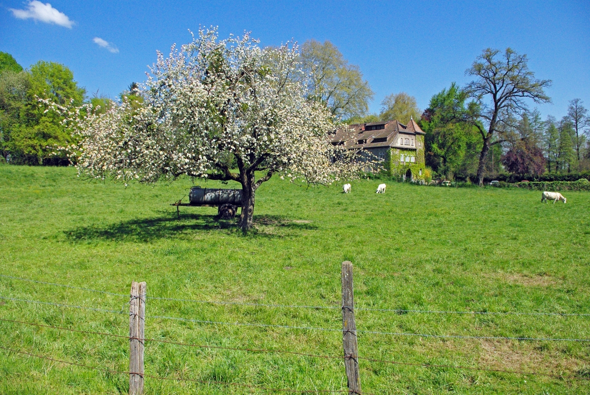 Photos of Spring in Alsace - Heidwiller © French Moments